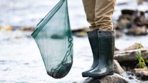 Pêche à pied à Plougrescant